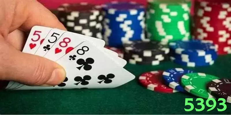 5393 no Brasil: Análise Completa e Recomendações - app