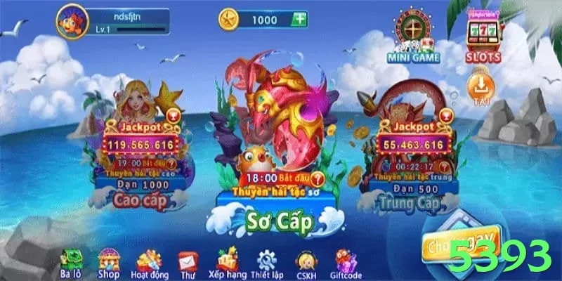 Descubra 5393: Guia Prático Para Iniciantes e Experts - pak