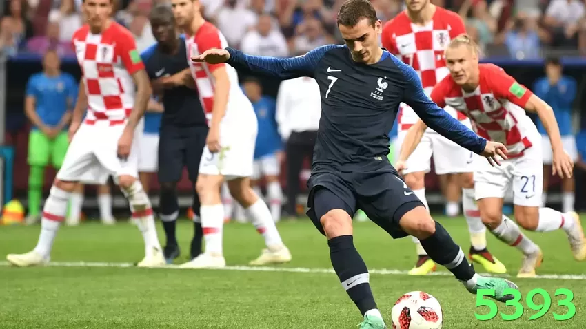 5393 no Brasil: Análise Completa e Recomendações - vip