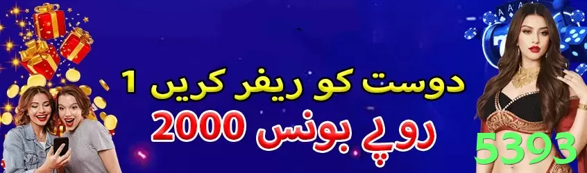 Controles de paJogonto e BRL em 5393 - vip