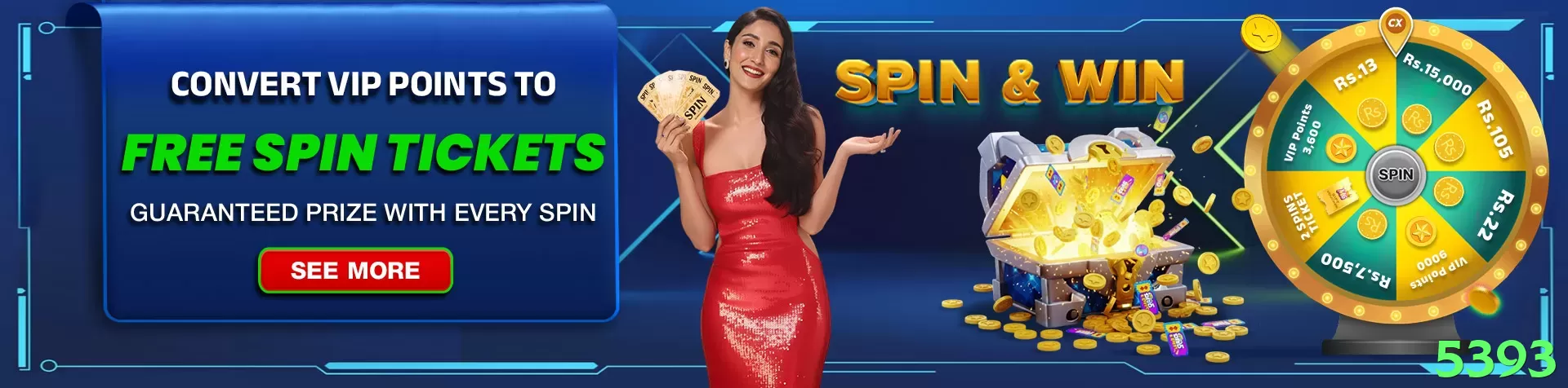 Controles de paJogonto e BRL em 5393 - pro